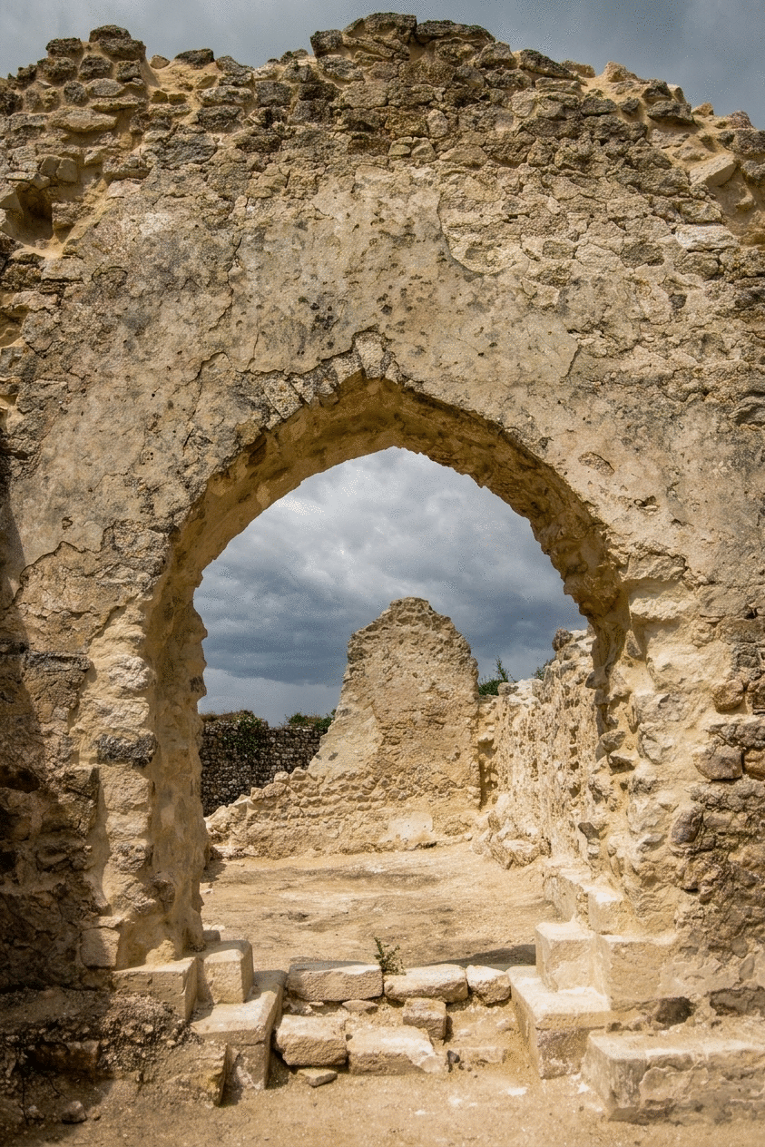 10_PORTILLA